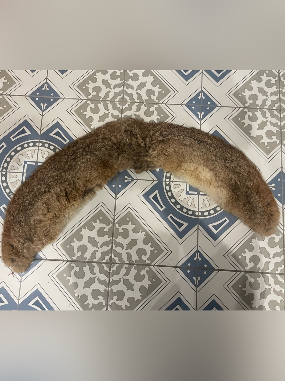 Vintage Fur Collar